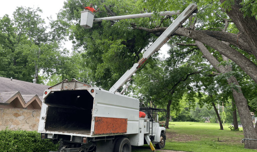 AAA Tree and Lawn Services