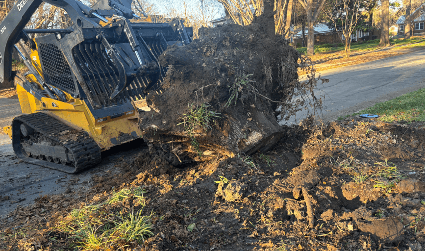 AAA Tree and Lawn Services